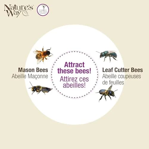 NATURE'S WAY Purple Bee House | Eco-Friendly Solitary Bee Habitat for Garden Pollination thumbnail 7