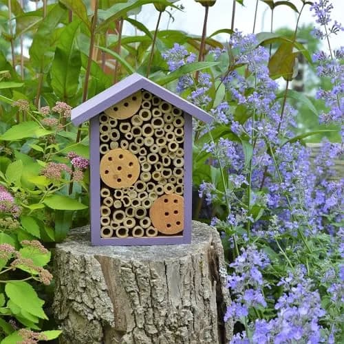 NATURE'S WAY Purple Bee House | Eco-Friendly Solitary Bee Habitat for Garden Pollination thumbnail 8