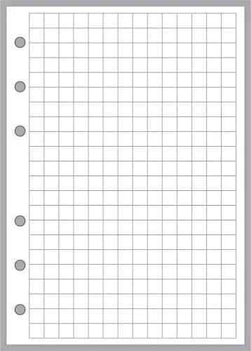 Handy Forms B6 Graph Paper 1/4 inch Grid | 50 Sheets for Notebooks & Binders thumbnail 1