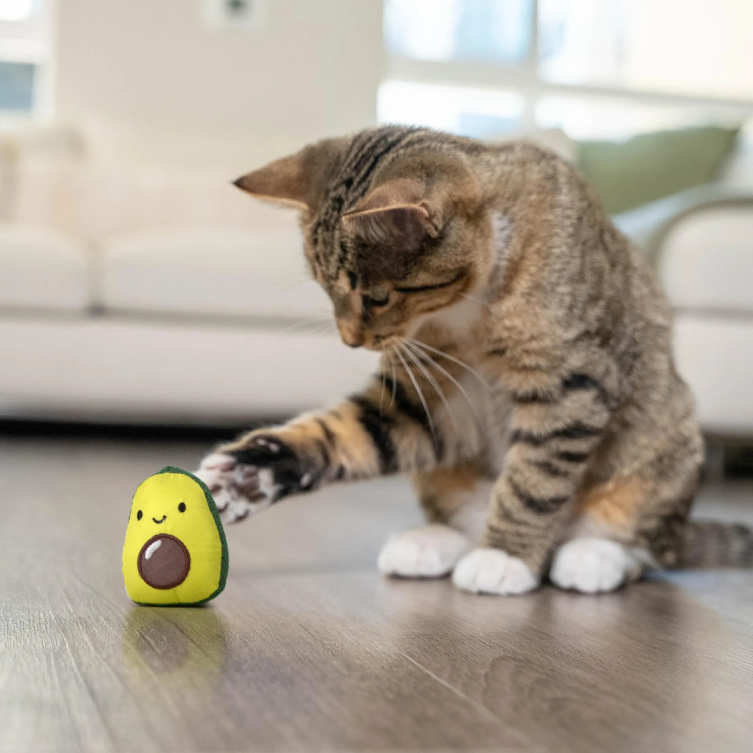 Catstages Lil' Avocato Cat Toy, Interactive Plush Avocado with Catnip, Kicker & Chew Toy 4.2 cm (1.8 in) | Encourages Active Play - view 8