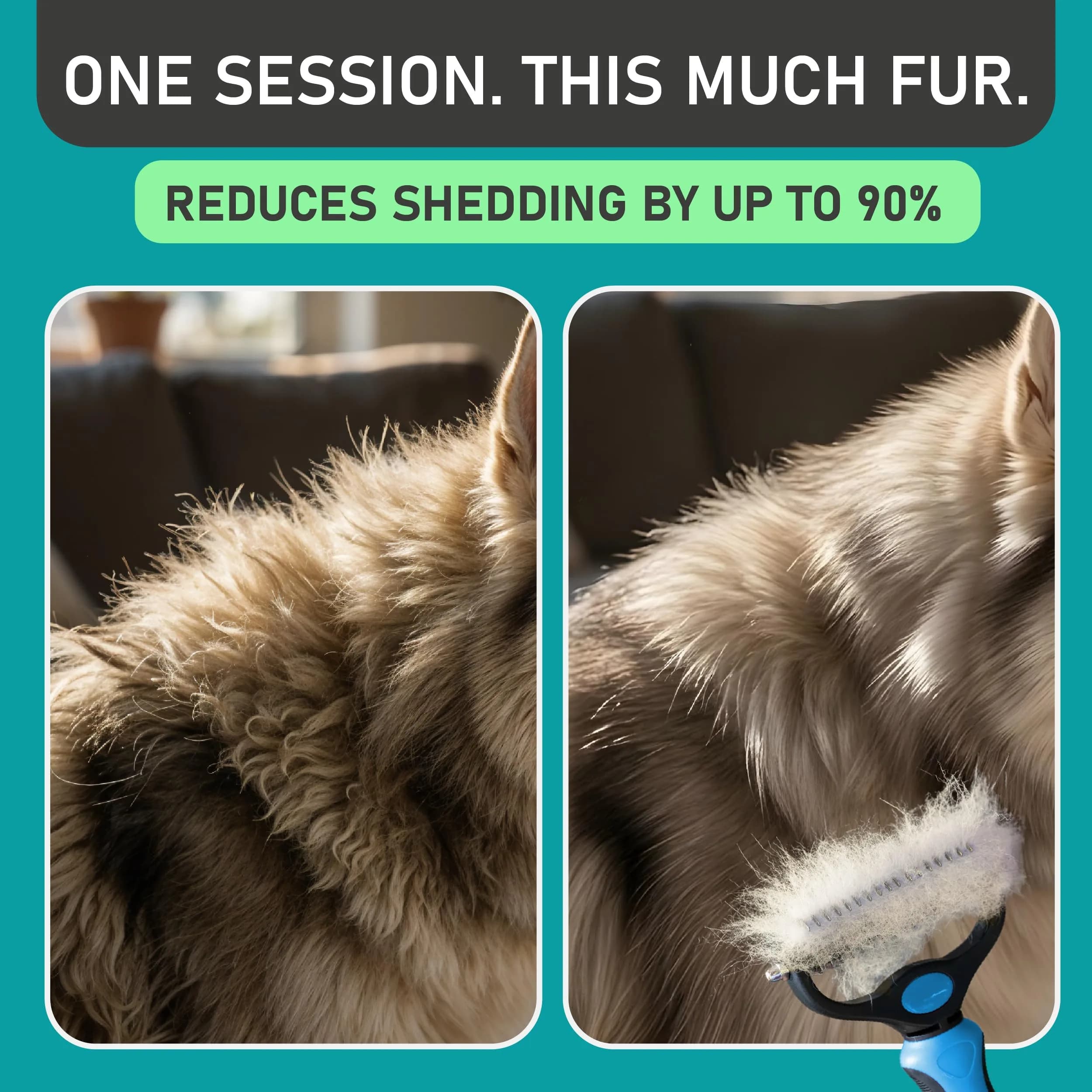 Maxpower Planet Dual-Sided Dog Grooming Rake 16.8cm (6.6in) | Deshedding Undercoat Brush for Dogs & Cats - view 5