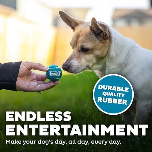 Outward Hound Squeaker Ballz Tiny Tennis Balls for Small Dogs Under 15 lbs, Fetch & Training, X-Small (1.5 inch / 3.8 cm), 4-Pack thumbnail 4