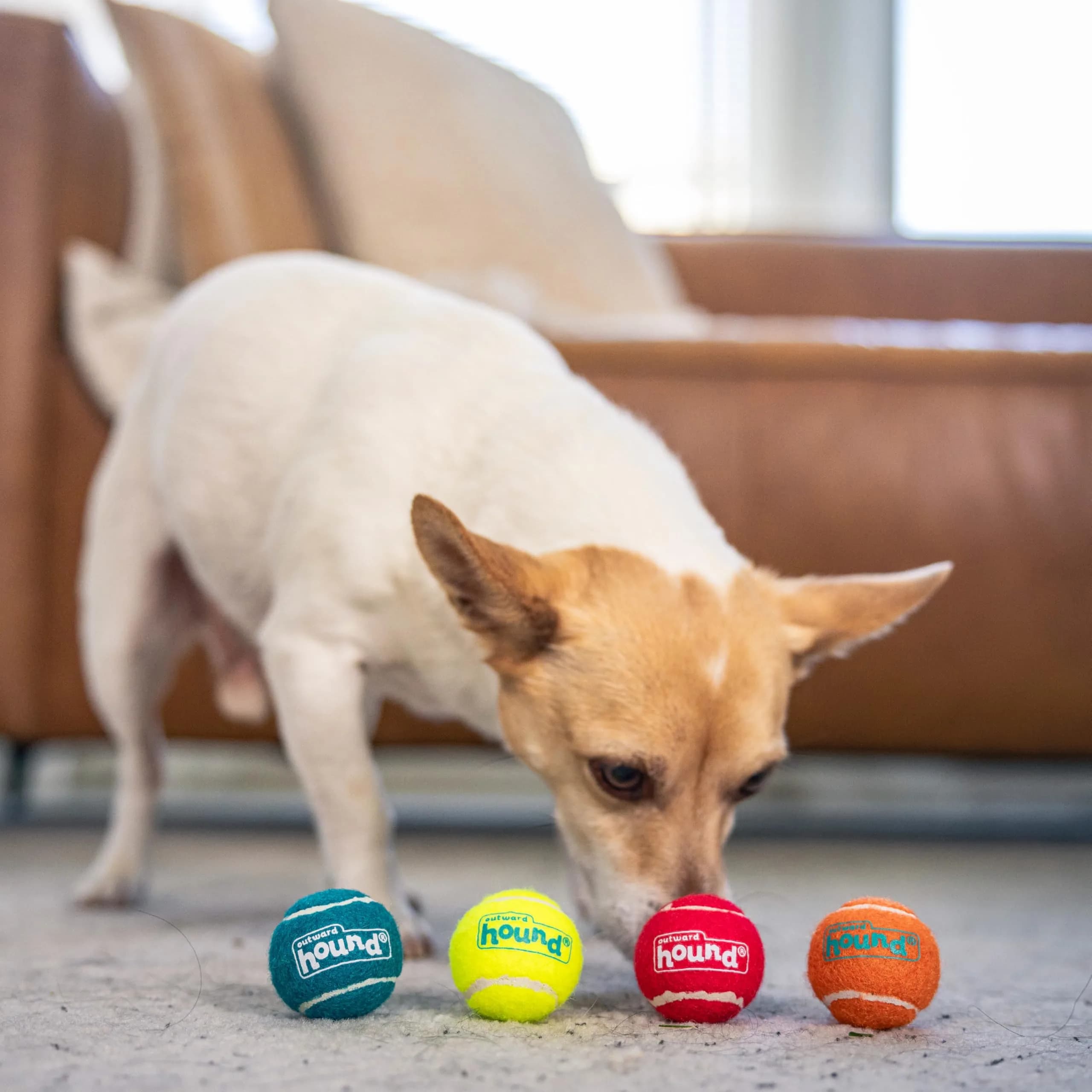 Outward Hound Squeaker Ballz Tiny Tennis Balls for Small Dogs Under 15 lbs, Fetch & Training, X-Small (1.5 inch / 3.8 cm), 4-Pack - view 5