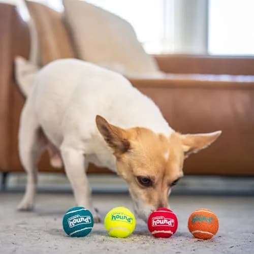 Outward Hound Squeaker Ballz Tiny Tennis Balls for Small Dogs Under 15 lbs, Fetch & Training, X-Small (1.5 inch / 3.8 cm), 4-Pack thumbnail 5