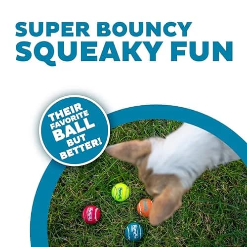 Outward Hound Squeaker Ballz Tiny Tennis Balls for Small Dogs Under 15 lbs, Fetch & Training, X-Small (1.5 inch / 3.8 cm), 4-Pack thumbnail 2
