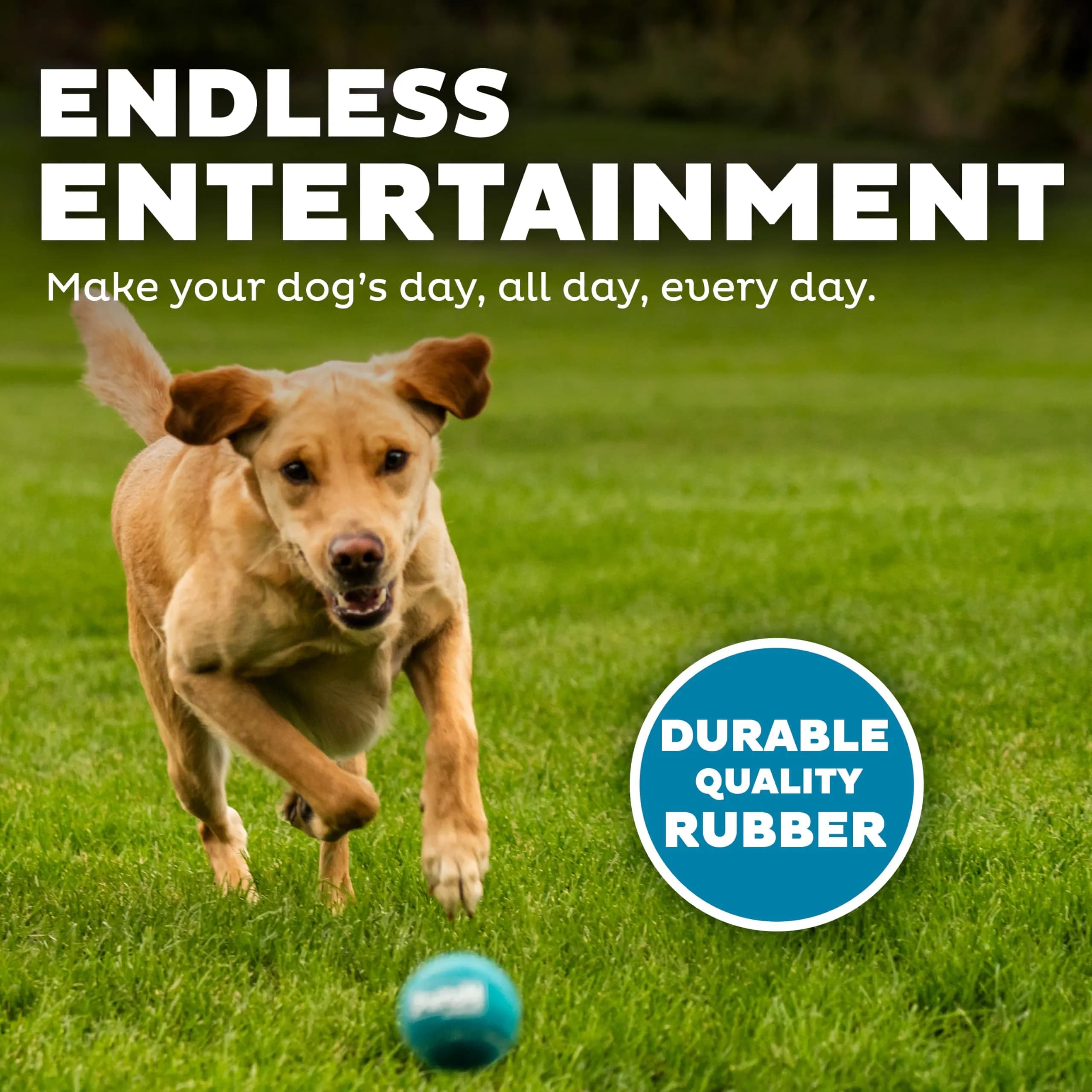 Outward Hound Squeaker Ballz Tennis Ball Dog Toy, Medium 2.5" (6.4 cm) 4-Pack | Durable Fetch & Training Toy for Dogs Under 50 lbs - view 4