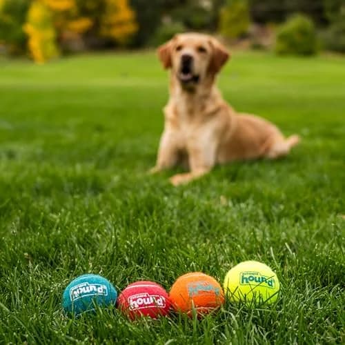 Outward Hound Squeaker Ballz Tennis Ball Dog Toy, Medium 2.5" (6.4 cm) 4-Pack | Durable Fetch & Training Toy for Dogs Under 50 lbs thumbnail 5