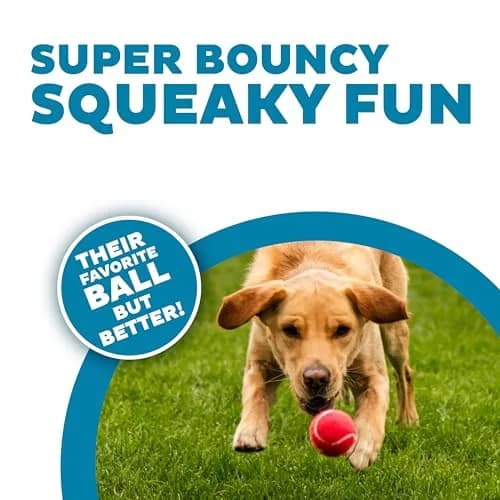 Outward Hound Squeaker Ballz Tennis Ball Dog Toy, Medium 2.5" (6.4 cm) 4-Pack | Durable Fetch & Training Toy for Dogs Under 50 lbs thumbnail 2