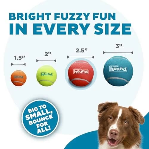 Outward Hound Squeaker Ballz Tennis Ball Dog Toy, Medium 2.5" (6.4 cm) 4-Pack | Durable Fetch & Training Toy for Dogs Under 50 lbs thumbnail 3