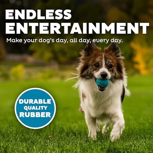 Outward Hound Squeaker Ballz Tennis Ball Dog Toy, Small 2" (5 cm) 4-Pack | Durable & Bouncy Fetch Toy for Dogs Under 25 lbs thumbnail 4