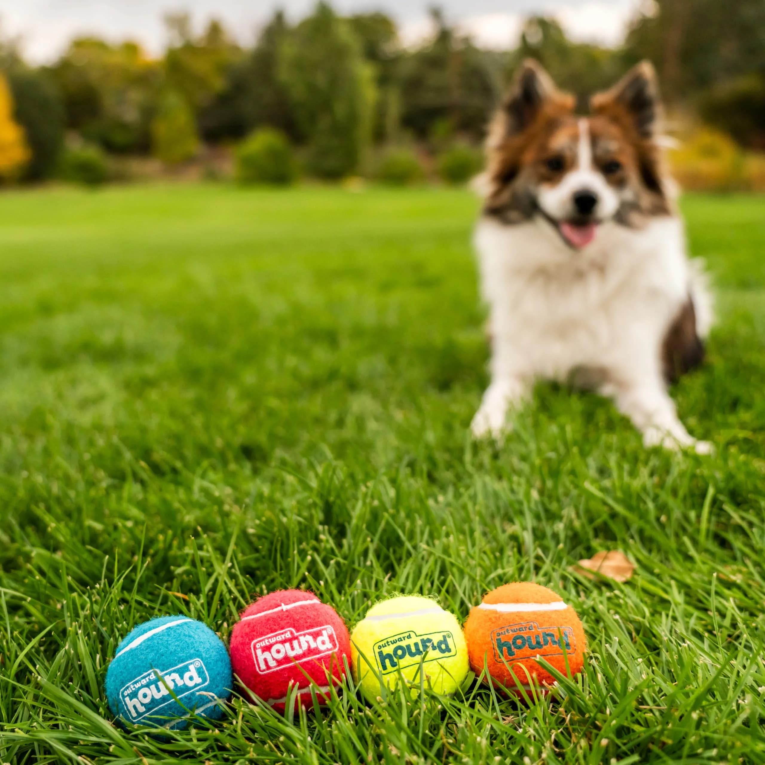 Outward Hound Squeaker Ballz Tennis Ball Dog Toy, Small 2" (5 cm) 4-Pack | Durable & Bouncy Fetch Toy for Dogs Under 25 lbs - view 5