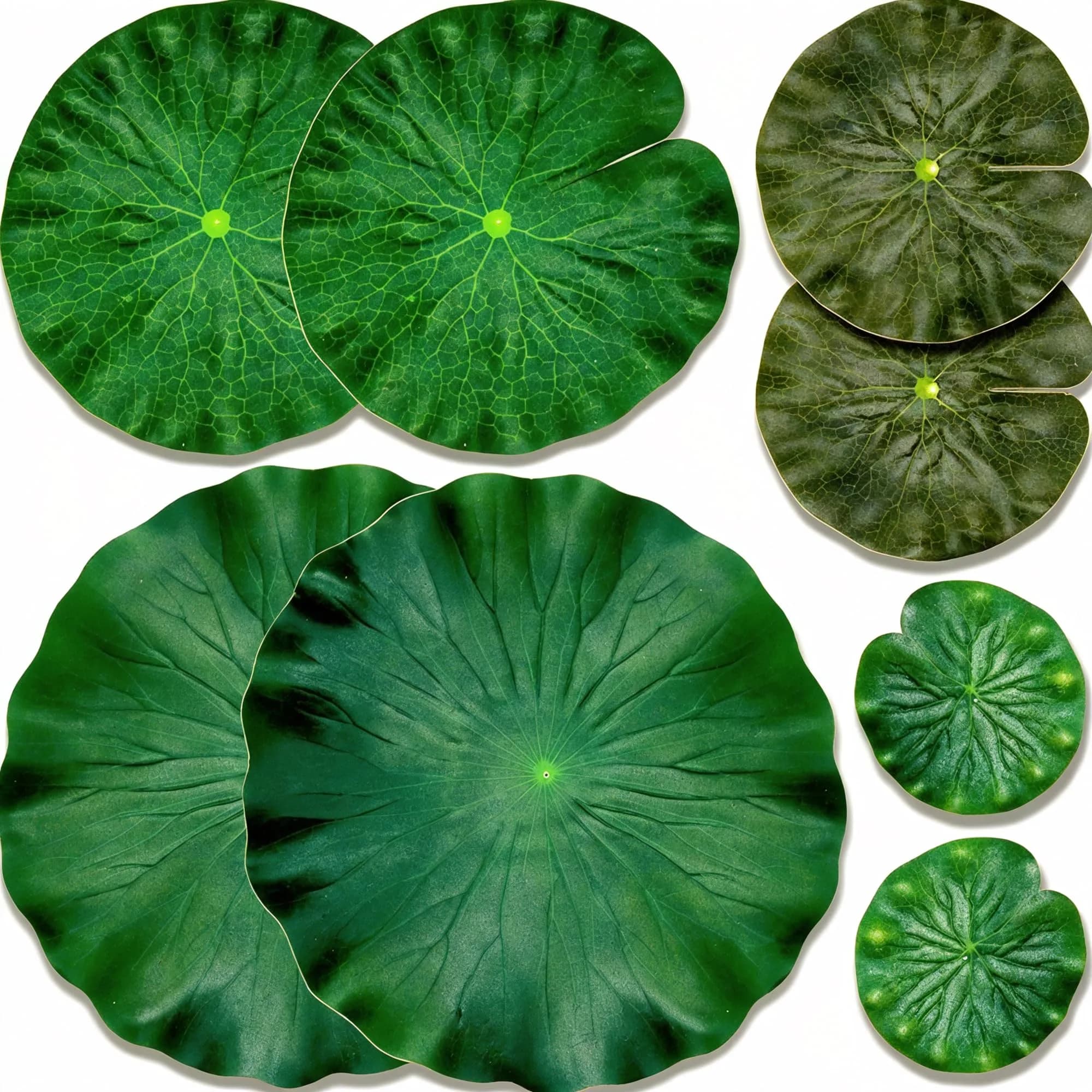 IFAMIO Artificial Floating Foam Lotus Leaves 4 Sizes | Realistic Pond & Aquarium Decor (10cm-28cm) — Green
