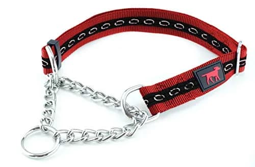 Tuff Pupper Martingale Dog Collar Medium 16-24" Neck | Adjustable Nylon & Stainless Steel Chain for Training thumbnail 1