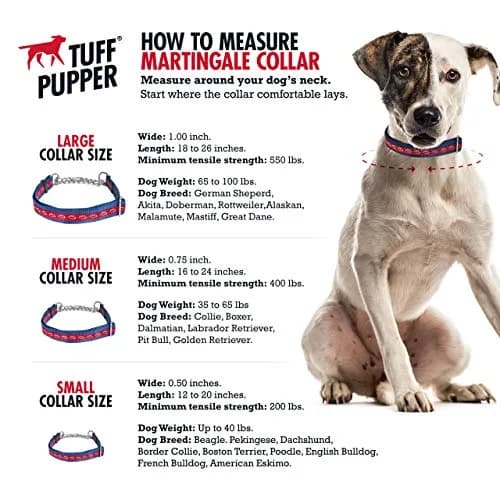 Tuff Pupper Martingale Dog Collar Medium 16-24" Neck | Adjustable Nylon & Stainless Steel Chain for Training thumbnail 3