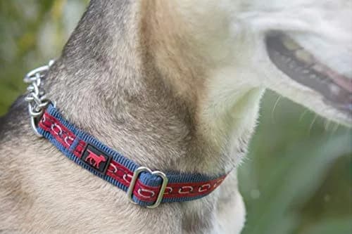Tuff Pupper Martingale Dog Collar for Small Dogs (12-20" Neck) | Gentle Nylon & Stainless Steel Chain for Training thumbnail 8