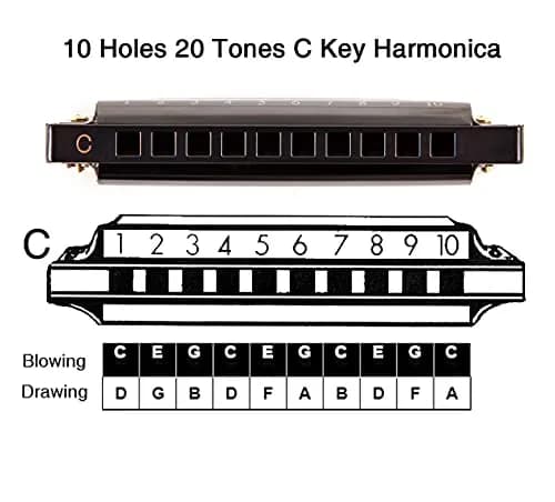 EASTROCK 10 Hole Blues Harmonica C Key Black with Case | Diatonic Mouth Organ Phosphor Bronze Reeds thumbnail 6