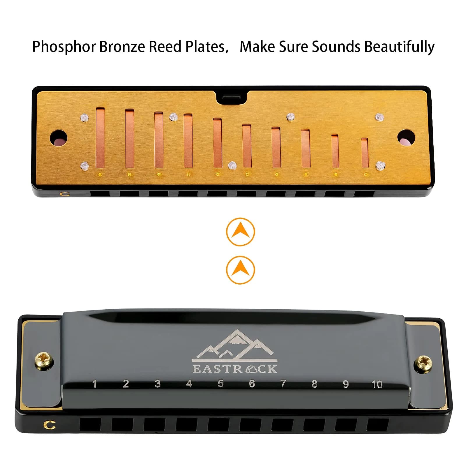 EASTROCK 10 Hole Blues Harmonica C Key Black with Case | Diatonic Mouth Organ Phosphor Bronze Reeds - view 2
