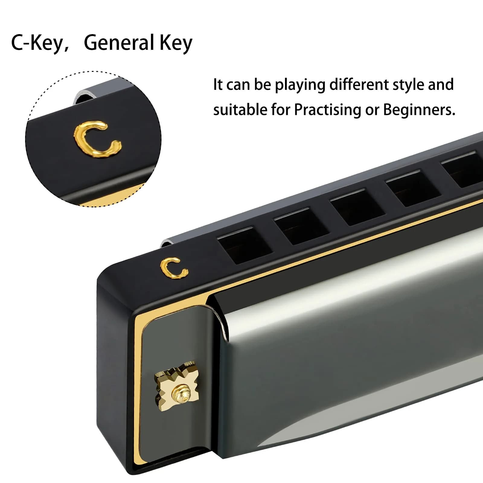 EASTROCK 10 Hole Blues Harmonica C Key Black with Case | Diatonic Mouth Organ Phosphor Bronze Reeds - view 3
