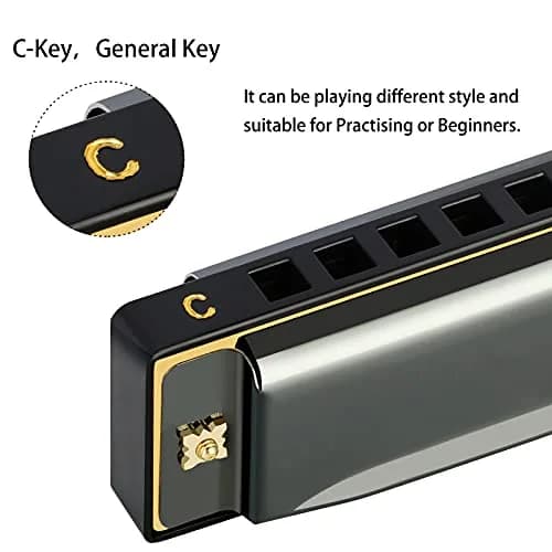 EASTROCK 10 Hole Blues Harmonica C Key Black with Case | Diatonic Mouth Organ Phosphor Bronze Reeds thumbnail 3