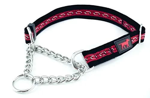 Tuff Pupper Martingale Collar for Dogs | No Pull Adjustable Nylon & Steel Chain | Medium (16-24") Neck thumbnail 1