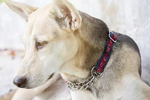 Tuff Pupper Martingale Collar for Dogs | No Pull Adjustable Nylon & Steel Chain | Medium (16-24") Neck thumbnail 8