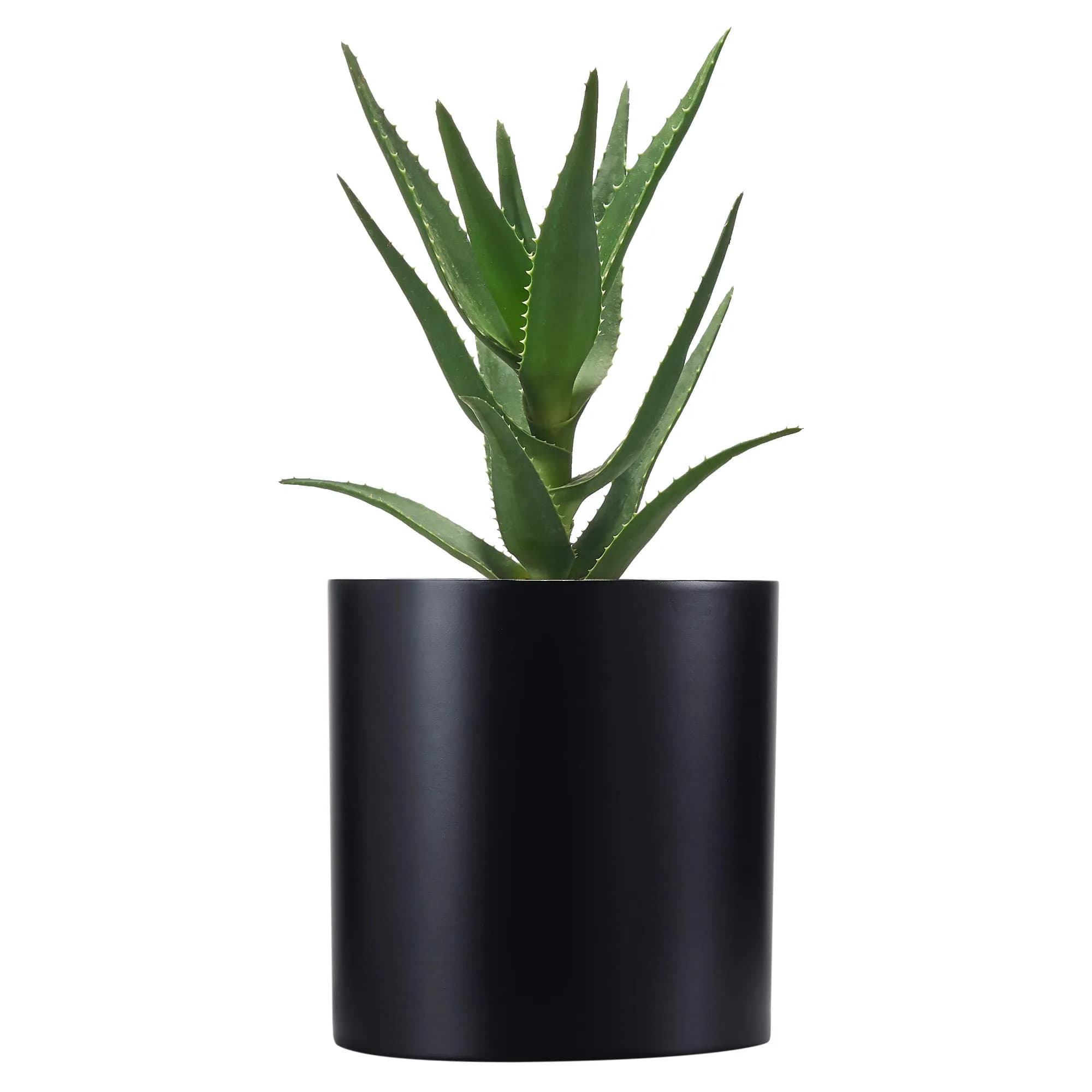FaithLand 8 Inch Fiberstone Planter - Lightweight Modern Cylinder Plant Pot with Drainage Hole & Plug, Indoor Outdoor Use, Matte Black