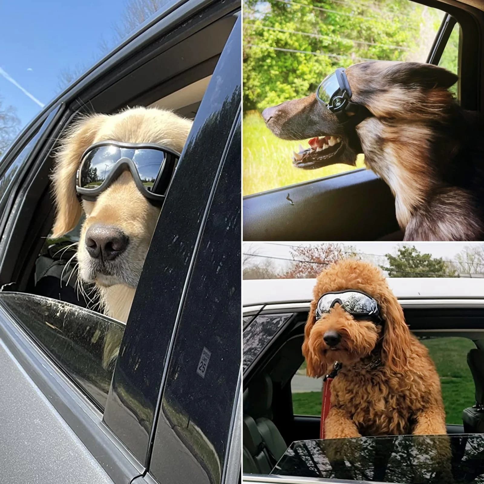 NAMSAN Dog Sunglasses for Medium to Large Dogs, UV Protection Dog Goggles 16.5cm (6.5in) | Sporty Black - view 6