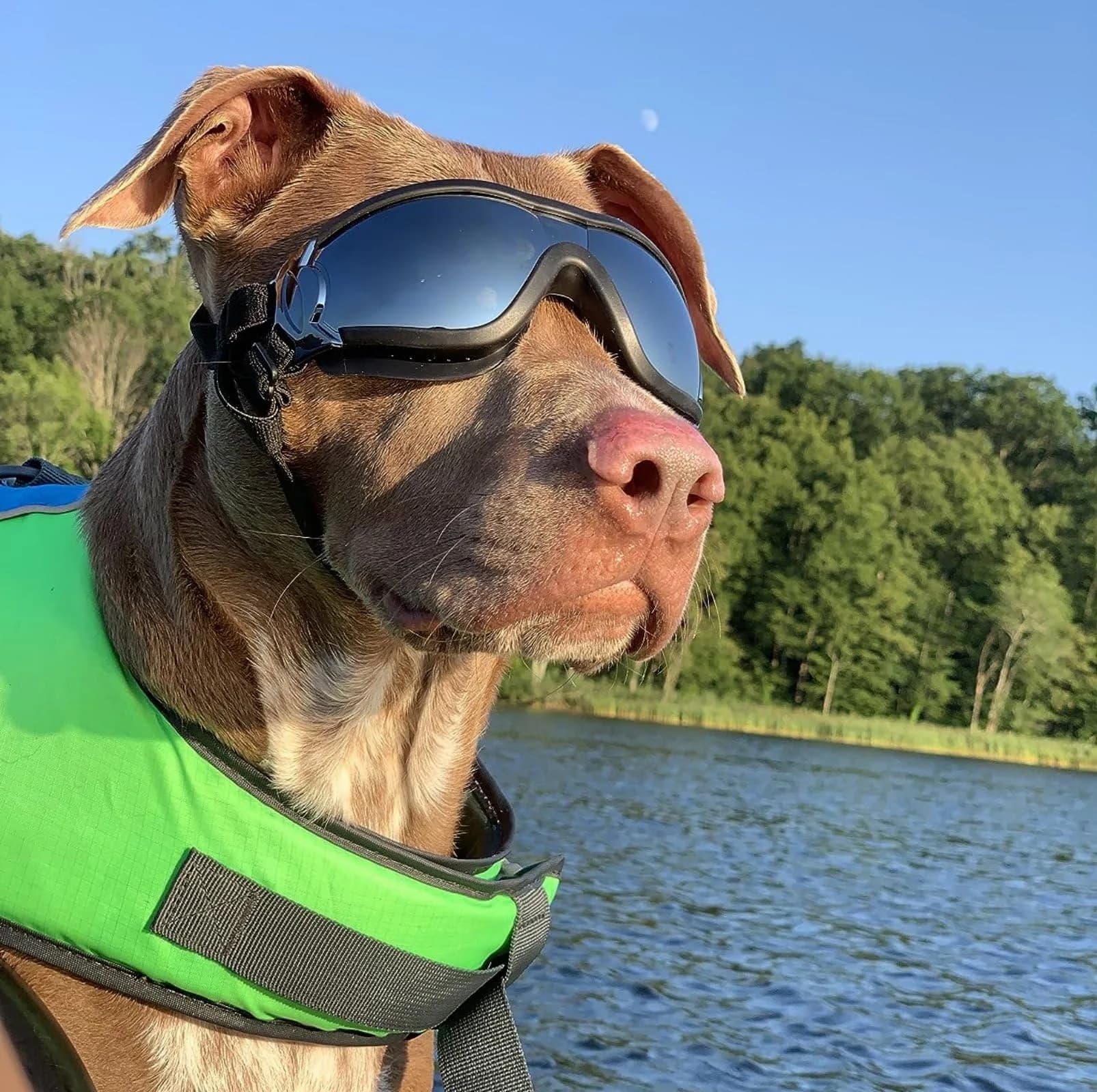 NAMSAN Dog Sunglasses for Medium to Large Dogs, UV Protection Dog Goggles 16.5cm (6.5in) | Sporty Black - view 7
