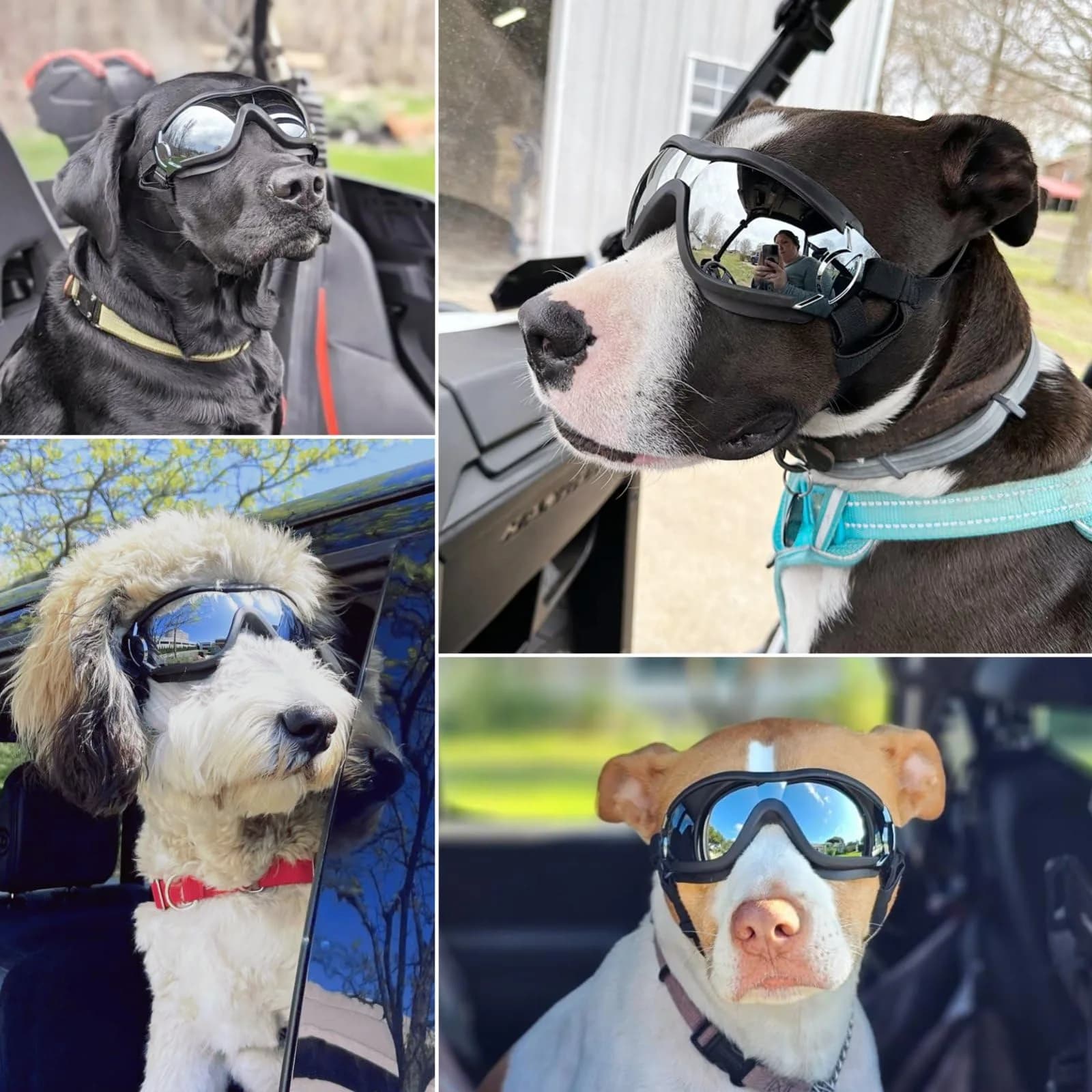 NAMSAN Dog Sunglasses for Medium to Large Dogs, UV Protection Dog Goggles 16.5cm (6.5in) | Sporty Black - view 2
