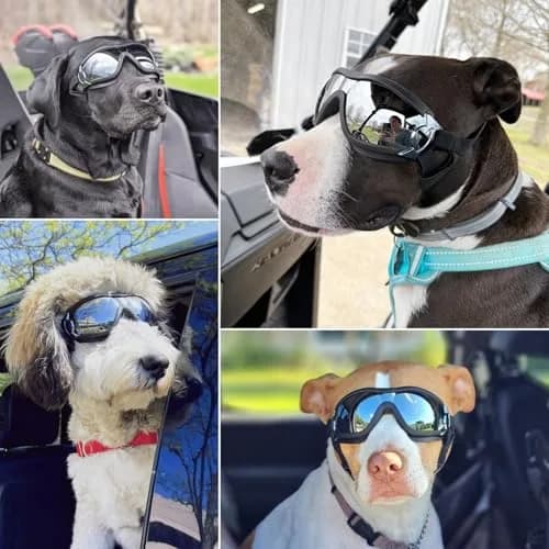 NAMSAN Dog Sunglasses for Medium to Large Dogs, UV Protection Dog Goggles 16.5cm (6.5in) | Sporty Black thumbnail 2