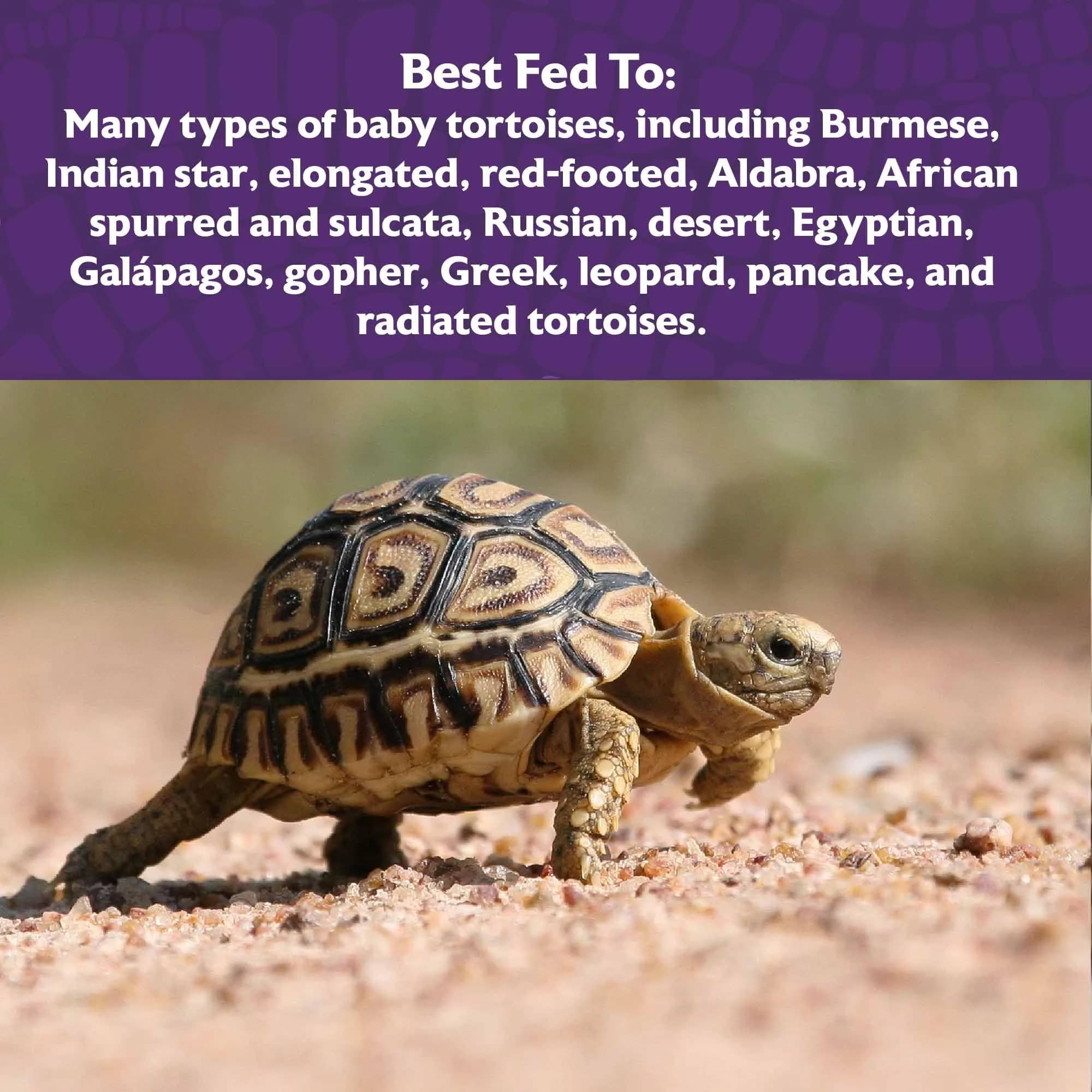 Mazuri Juvenile Tortoise Food 227 g (8 oz) | High Fiber, Low Starch Formula for Baby Tortoises - view 4