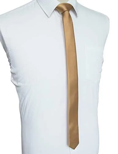 JEMYGINS Champagne Gold Silk Skinny Tie 4cm (1.58") | Business Party Dating Slim Necktie thumbnail 2