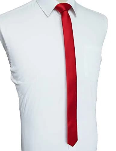 JEMYGINS Red Silk Skinny Tie 4cm (1.58") | Business & Party Slim Necktie thumbnail 2
