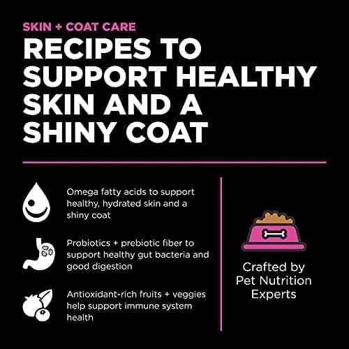 Go! Solutions Skin + Coat Care Chicken Dry Cat Food 8 lb | Supports Healthy Fur & Skin thumbnail 2