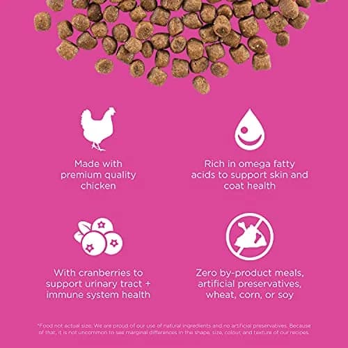 Go! Solutions Skin + Coat Care Chicken Dry Cat Food 8 lb | Supports Healthy Fur & Skin thumbnail 3