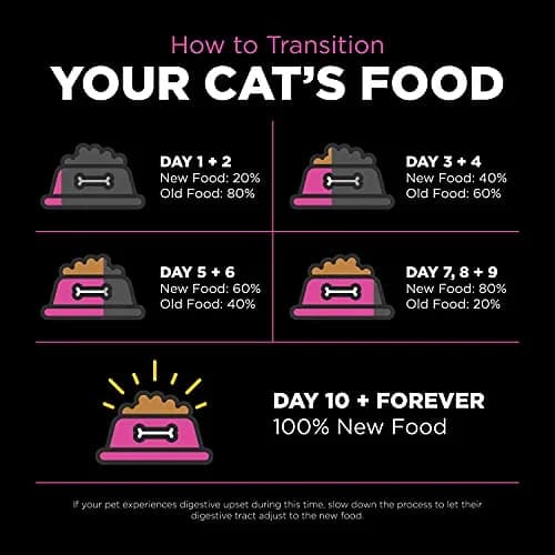 Go! Solutions Skin + Coat Care Chicken Dry Cat Food with Grains, 16 lb Bag | Supports Shiny Fur & Healthy Skin thumbnail 8