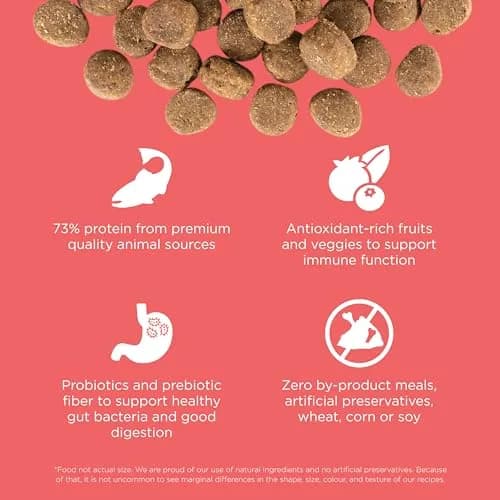 Go! Solutions Carnivore Salmon + Cod Grain-Free Dog Food 22 lb | High-Protein, Real Meat & Fish, Puppy to Senior thumbnail 4