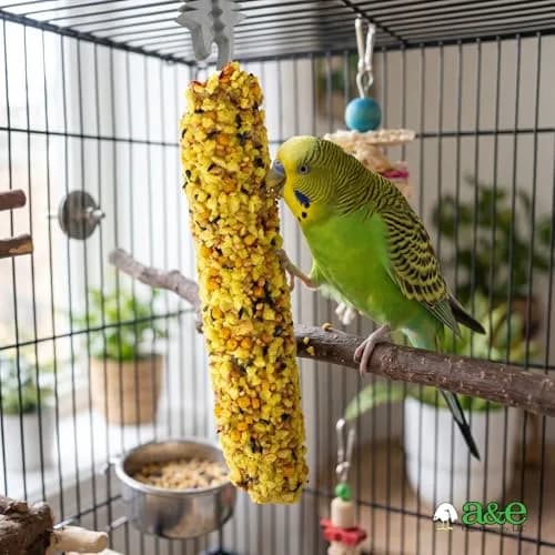 Vitapol Smakers Egg Treat Sticks for Parakeets & Budgies, Twin Pack | Protein-Rich for Feather Health thumbnail 5