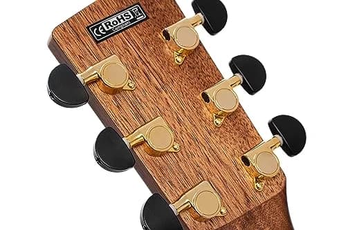 Cort Grand Regal Series Acoustic-Electric Guitar, Natural Glossy | Bevel Cut Grand Auditorium, Full Size, Myrtlewood & Sitka Spruce thumbnail 6