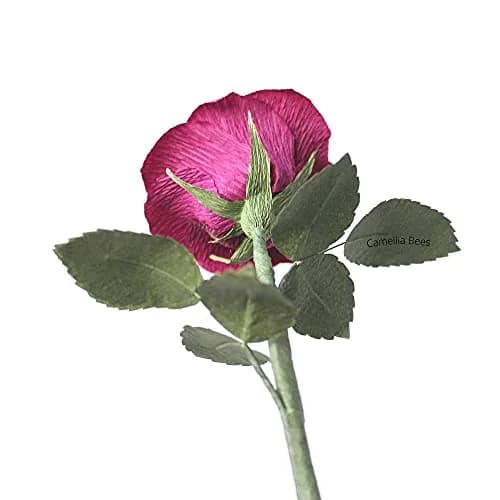 Camellia Bees Paper Rose 1st Wedding for Her Him | Handmade Deep Red Crepe Flower, Anniversary Keepsake (Dark red Burgundy) thumbnail 3