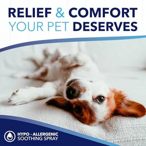 TropiClean OxyMed Hypoallergenic Itch Relief Spray for Cats & Dogs 236ml (8oz) | Gentle Relief for Sensitive Skin thumbnail 7