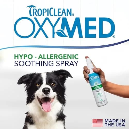 TropiClean OxyMed Hypoallergenic Itch Relief Spray for Cats & Dogs 236ml (8oz) | Gentle Relief for Sensitive Skin thumbnail 3