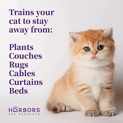 Harbor's Pet Products Cat Scratch and Chewing Deterrent Spray 236ml (8 Fl Oz) | Safe Essential Oil Formula for Furniture and Plants thumbnail 3