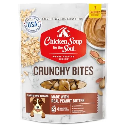 Chicken Soup for the Soul Pet Food - Crunchy Bites Dog Treats - Chicken & Peanut Butter, 340g | Real Ingredients, No Artificial Flavors thumbnail 1