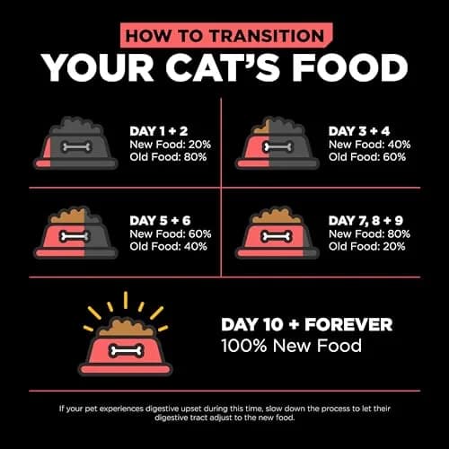 Go! Solutions Carnivore Salmon + Cod Grain-Free Dry Cat Food | High-Protein, Real Meat & Fish, 8 lb Bag thumbnail 8