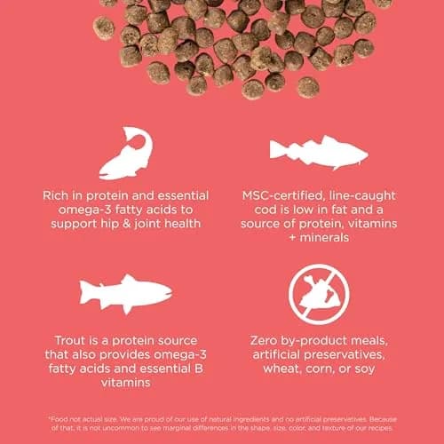 Go! Solutions Carnivore Salmon + Cod Grain-Free Dry Cat Food | High-Protein, Real Meat & Fish, 8 lb Bag thumbnail 3