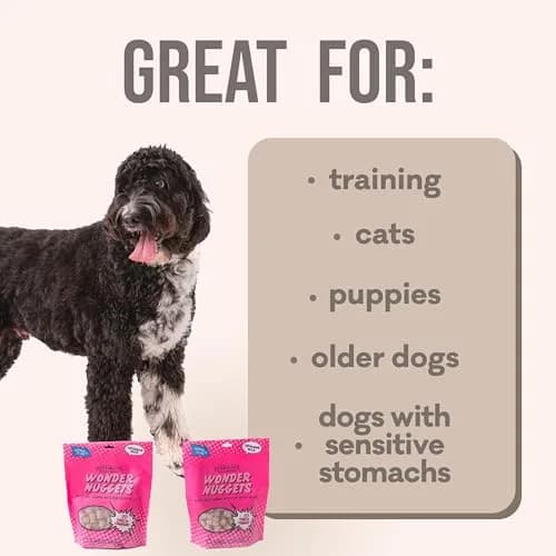 Polkadog Turkey & Cranberry Wonder Nuggets | Soft & Chewy Dog Treats for All Sizes thumbnail 6