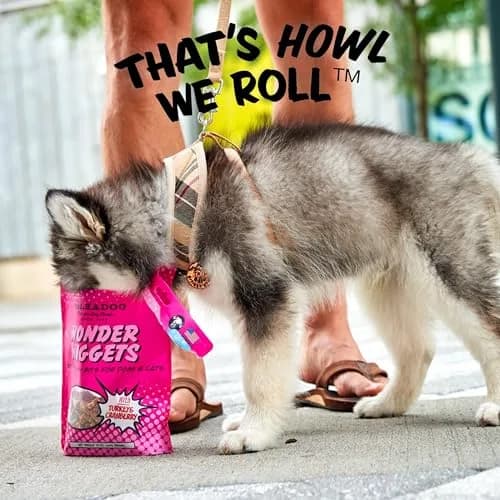 Polkadog Turkey & Cranberry Wonder Nuggets | Soft & Chewy Dog Treats for All Sizes thumbnail 7