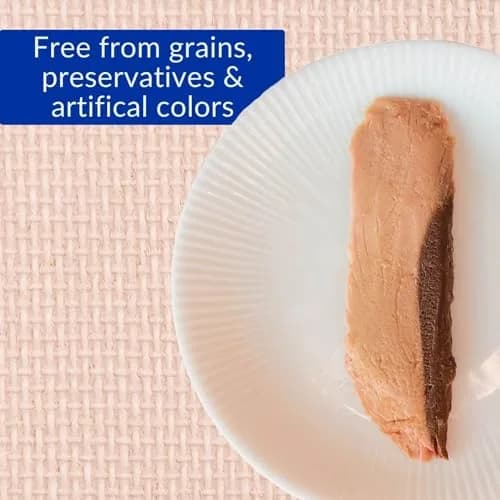 INABA Grilled Fillets Cat Treats, Tuna in Tuna Broth, 6ct | Moist, Flaky, Hand-Feed Friendly thumbnail 6