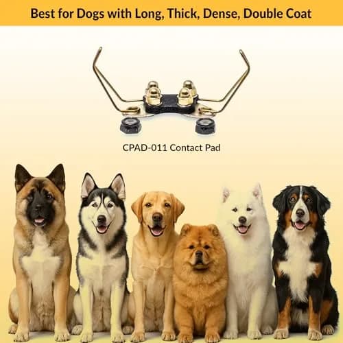 Educator CPAD-011 Winged Brass Contact Pads for Training Collars | For Long & Thick Coats, Compatible with RX-090/120/1000 Receivers thumbnail 5